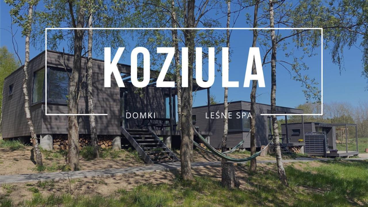 Koziula - Domki I Lesne Spa Na Kaszubach Przywidz  Ngoại thất bức ảnh