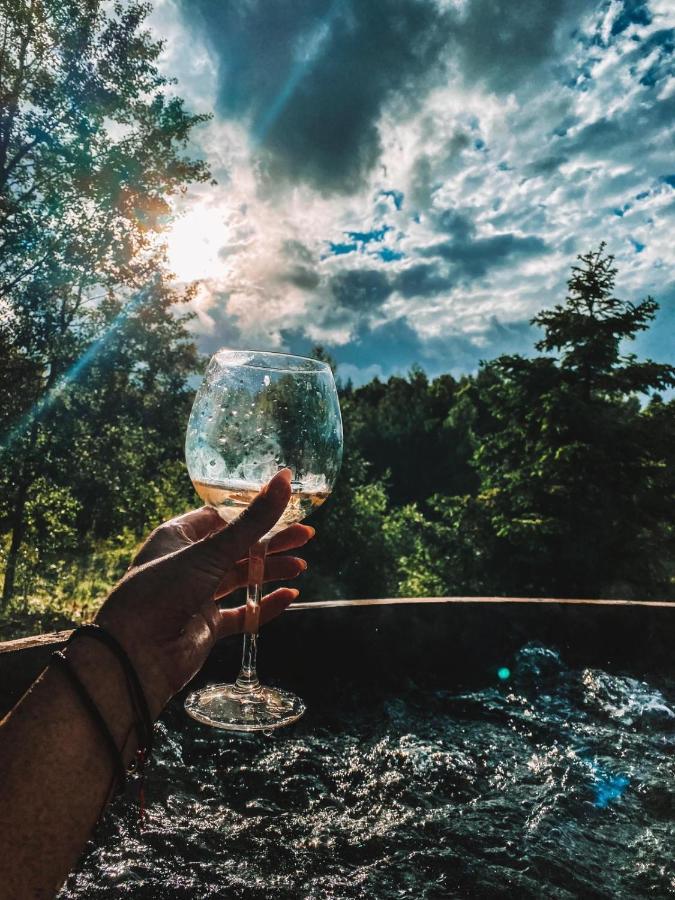 Koziula - Domki I Lesne Spa Na Kaszubach Przywidz  Ngoại thất bức ảnh