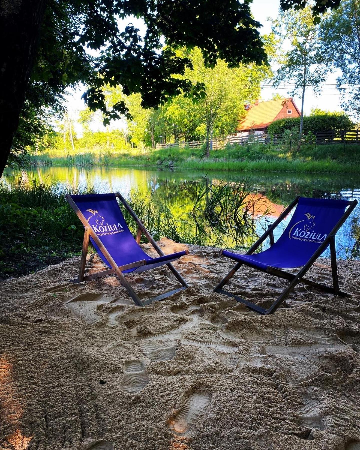 Koziula - Domki I Lesne Spa Na Kaszubach Przywidz  Ngoại thất bức ảnh